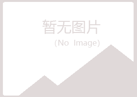 东山县夏岚造纸有限公司